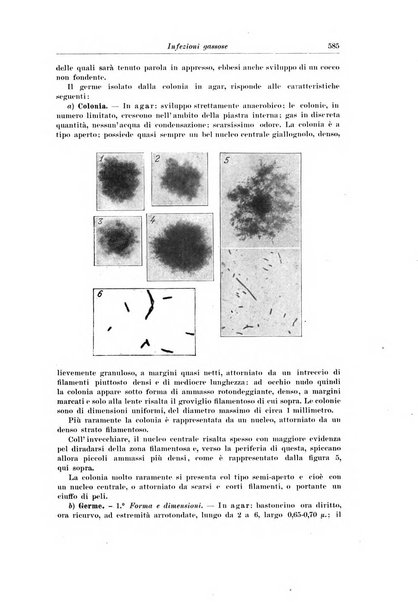 Archivio italiano di chirurgia