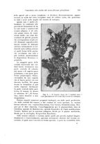 giornale/PUV0110166/1919-1920/unico/00000785