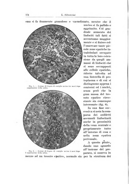 Archivio italiano di chirurgia