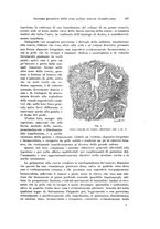 giornale/PUV0110166/1920/unico/00000519