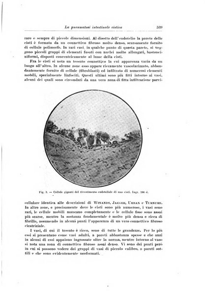 Archivio italiano di chirurgia