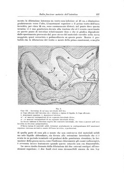 Archivio italiano di chirurgia