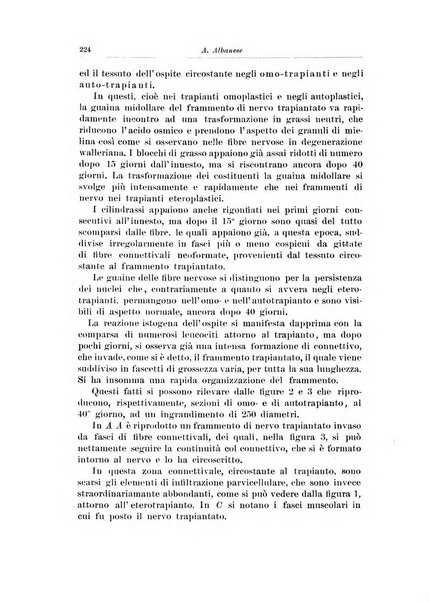 Archivio italiano di chirurgia