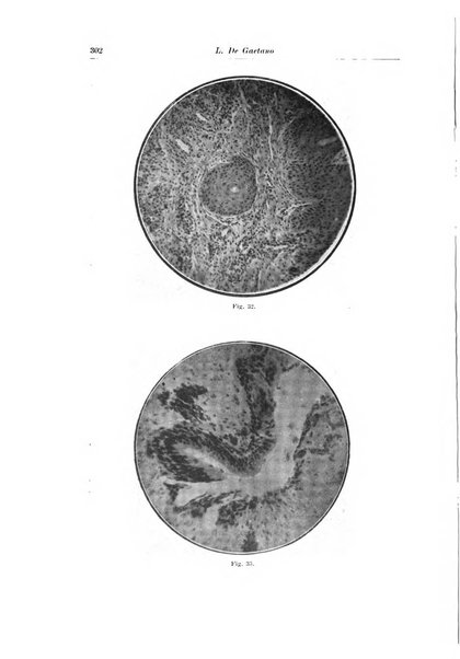 Archivio italiano di chirurgia