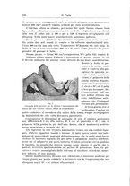 giornale/PUV0110166/1921/unico/00000368