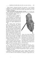 giornale/PUV0110166/1921/unico/00000369