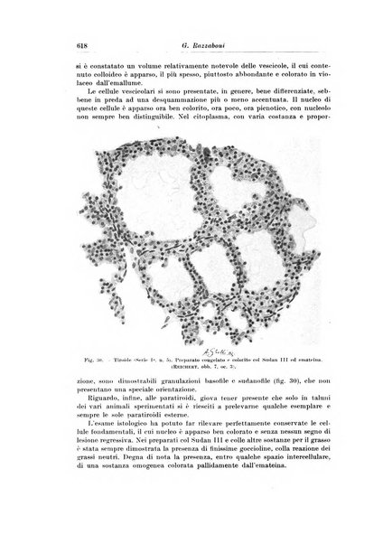 Archivio italiano di chirurgia