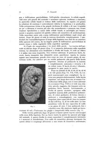 Archivio italiano di chirurgia