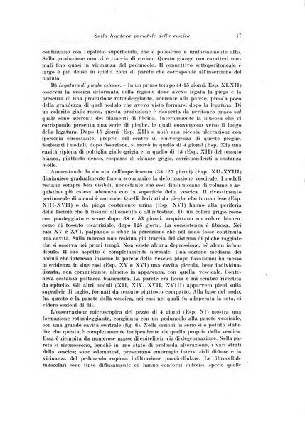 Archivio italiano di chirurgia