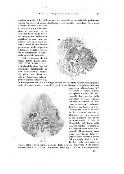 Archivio italiano di chirurgia