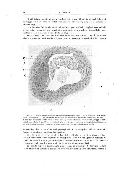 Archivio italiano di chirurgia