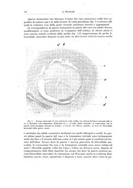 Archivio italiano di chirurgia