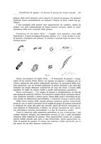 giornale/PUV0110166/1922/V.5/00000135