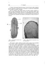 giornale/PUV0110166/1922/V.5/00000268