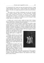 giornale/PUV0110166/1922/V.5/00000439