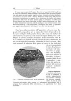 giornale/PUV0110166/1922/V.5/00000440