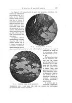 giornale/PUV0110166/1922/V.5/00000441