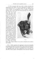 giornale/PUV0110166/1922/V.5/00000445