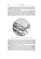 giornale/PUV0110166/1922/V.5/00000500