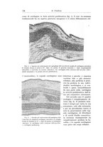 giornale/PUV0110166/1922/V.6/00000194