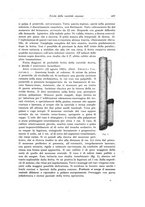 giornale/PUV0110166/1922/V.6/00000459