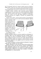 giornale/PUV0110166/1922/V.6/00000471