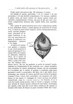 giornale/PUV0110166/1922/V.6/00000495