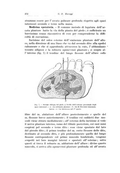 Archivio italiano di chirurgia