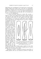 giornale/PUV0110166/1923/V.7/00000031