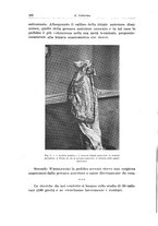 giornale/PUV0110166/1923/V.7/00000288