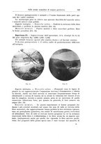 giornale/PUV0110166/1923/V.7/00000363
