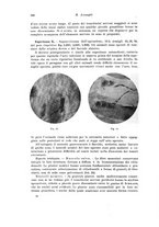 giornale/PUV0110166/1923/V.7/00000368
