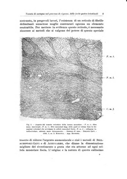 Archivio italiano di chirurgia