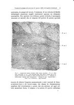 giornale/PUV0110166/1923/V.8/00000011