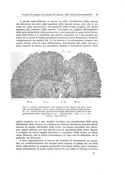 Archivio italiano di chirurgia