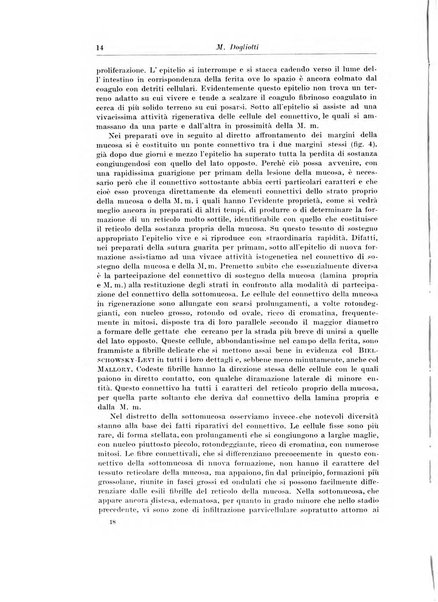 Archivio italiano di chirurgia