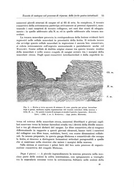 Archivio italiano di chirurgia