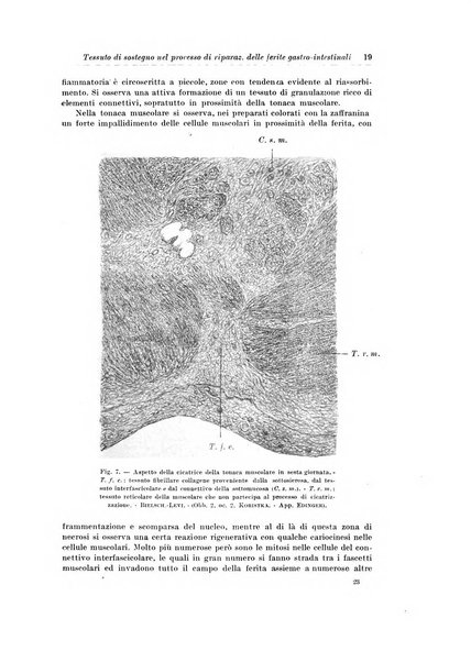 Archivio italiano di chirurgia