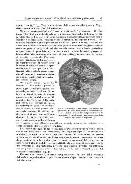 Archivio italiano di chirurgia