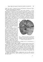 giornale/PUV0110166/1923/V.8/00000051