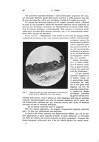 giornale/PUV0110166/1923/V.8/00000052