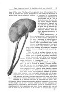 giornale/PUV0110166/1923/V.8/00000059