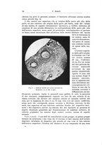 giornale/PUV0110166/1923/V.8/00000060