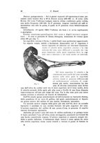 giornale/PUV0110166/1923/V.8/00000064