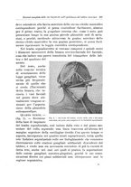 giornale/PUV0110166/1923/V.8/00000217