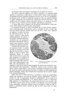 giornale/PUV0110166/1923/V.8/00000309