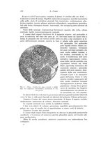 giornale/PUV0110166/1923/V.8/00000310