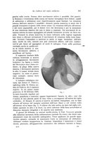 giornale/PUV0110166/1923/V.8/00000353