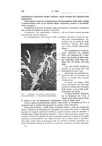 giornale/PUV0110166/1923/V.8/00000460