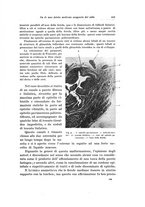 giornale/PUV0110166/1923/V.8/00000461